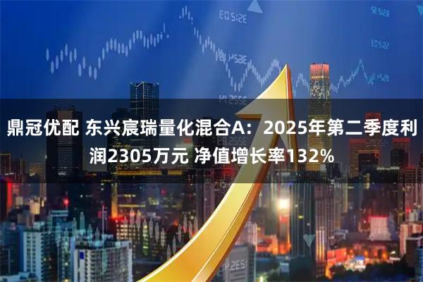 鼎冠优配 东兴宸瑞量化混合A：2025年第二季度利润2305万元 净值增长率132%