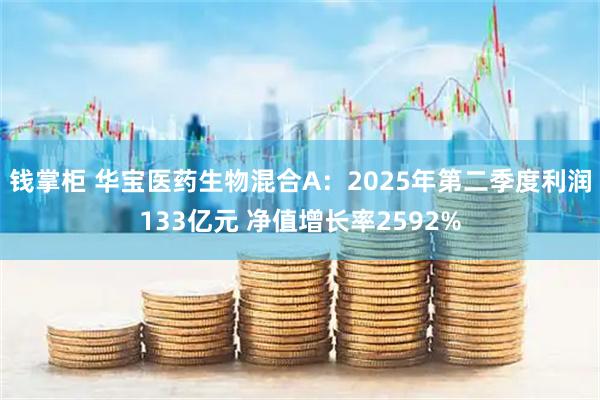 钱掌柜 华宝医药生物混合A：2025年第二季度利润133亿元 净值增长率2592%