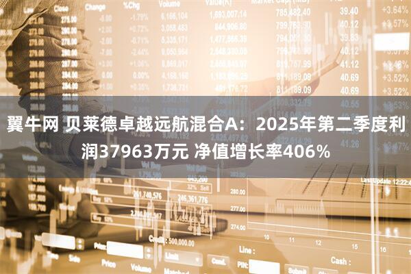 翼牛网 贝莱德卓越远航混合A：2025年第二季度利润37963万元 净值增长率406%