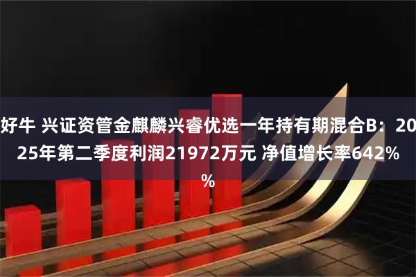 好牛 兴证资管金麒麟兴睿优选一年持有期混合B：2025年第二季度利润21972万元 净值增长率642%